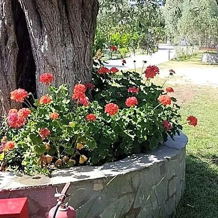 Maria Ξενοδοχείο 3*